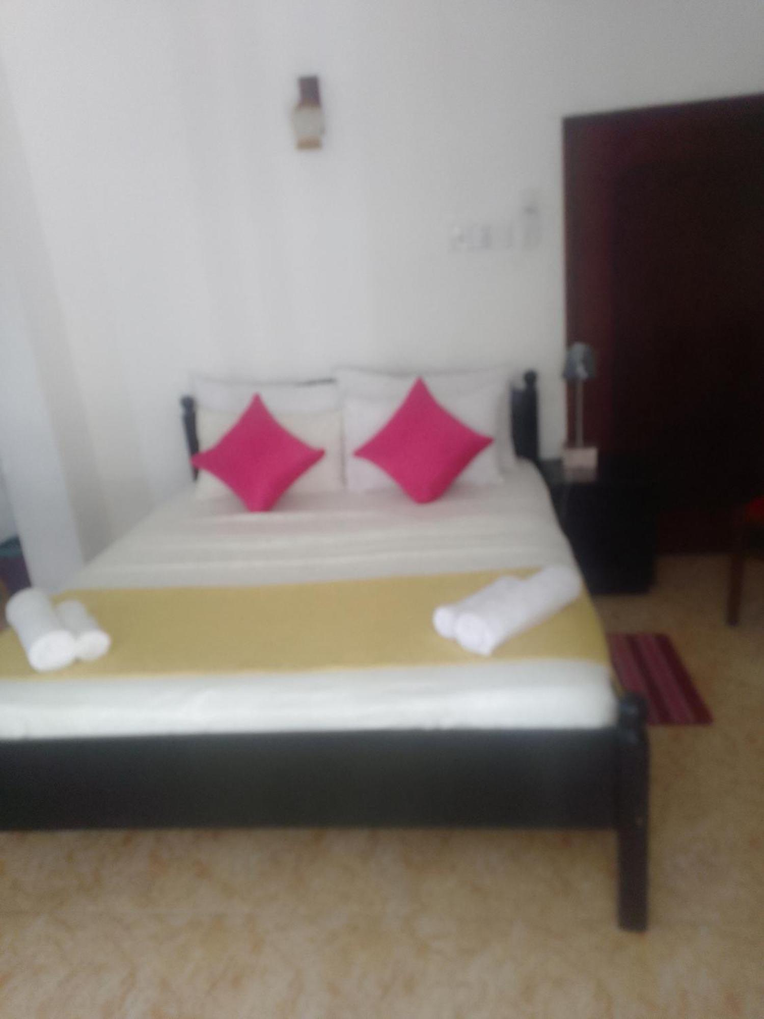 Steur Villa Негомбо Экстерьер фото