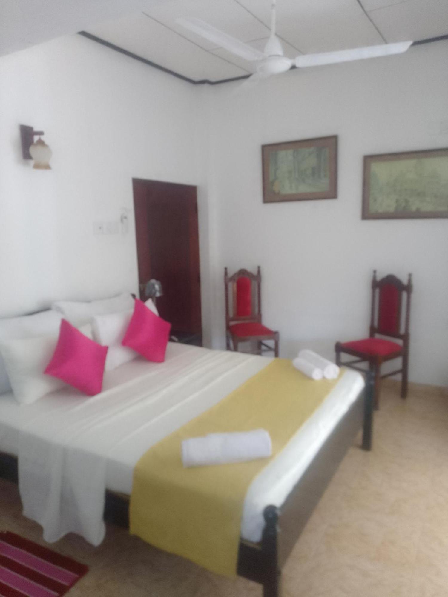 Steur Villa Негомбо Экстерьер фото